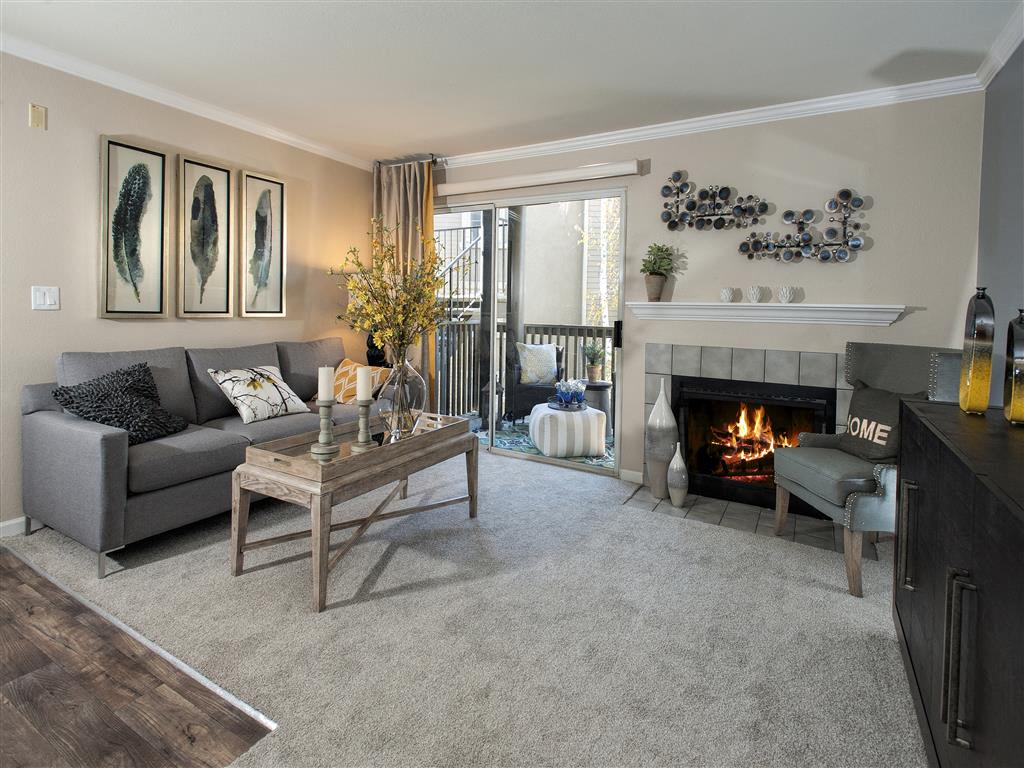 Mill Springs Park Apartment Homes photo 3